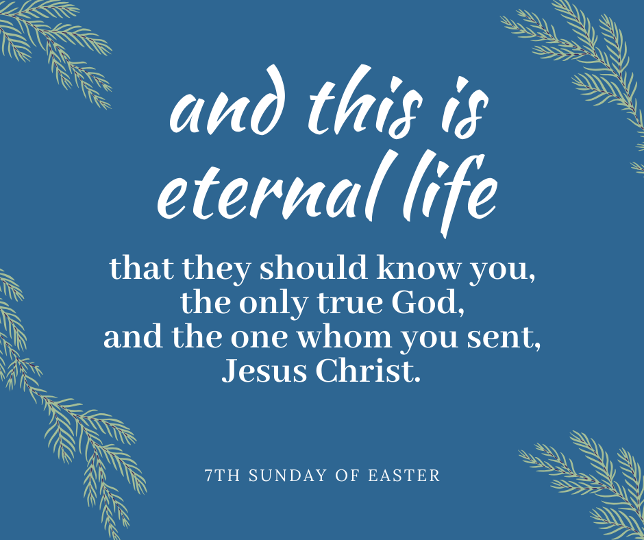 John 17:3 Now this is eternal life, that they may know You, the only true  God, and Jesus Christ, whom You have sent.
